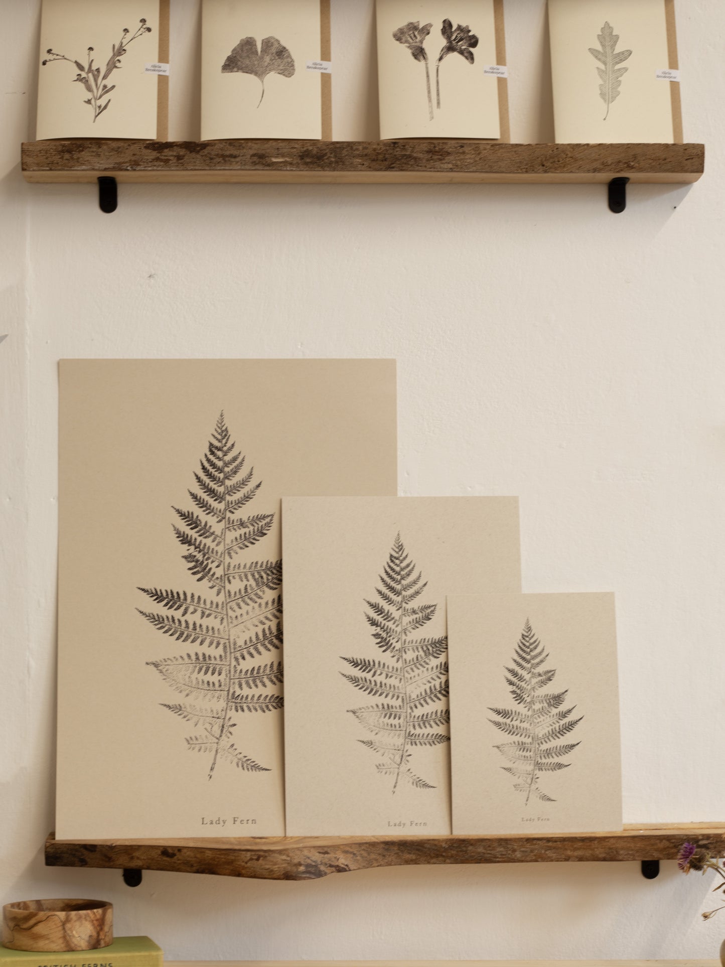 Botanical Art Print - Fern Print - Lady Fern - Wall Art A5, A4, A3