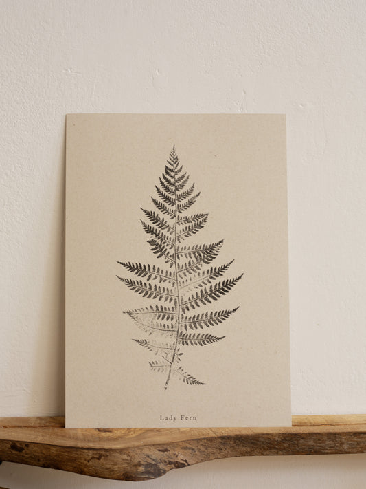 Botanical Art Print - Fern Print - Lady Fern - Wall Art A5, A4, A3