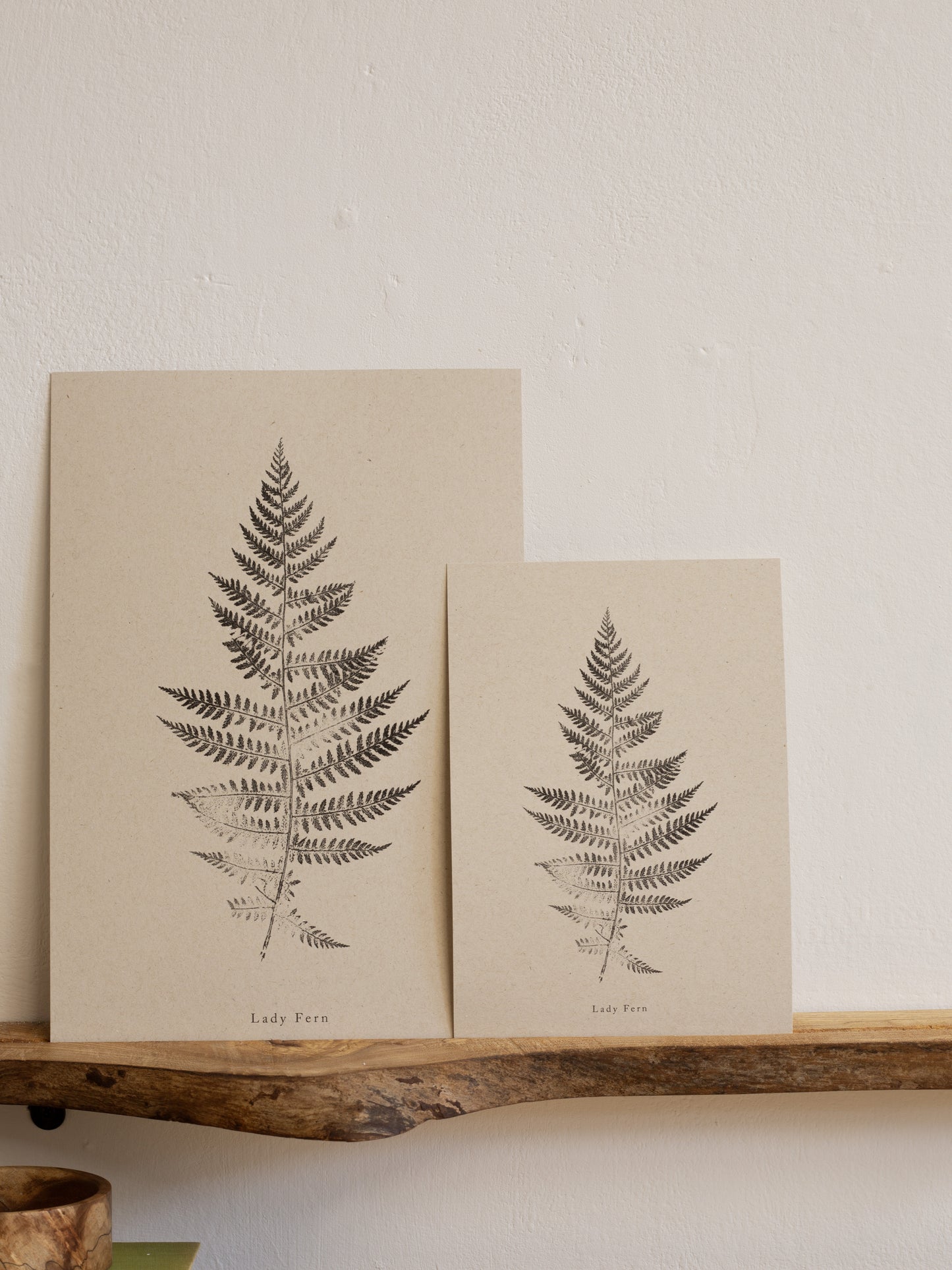 Botanical Art Print - Fern Print - Lady Fern - Wall Art A5, A4, A3