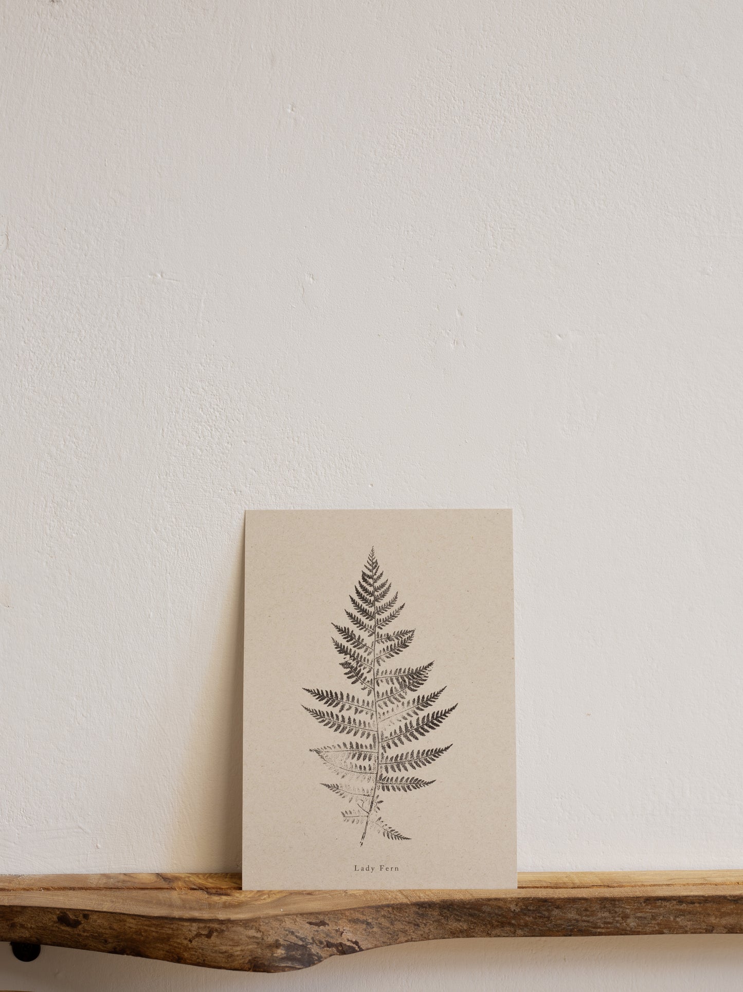 Botanical Art Print - Fern Print - Lady Fern - Wall Art A5, A4, A3