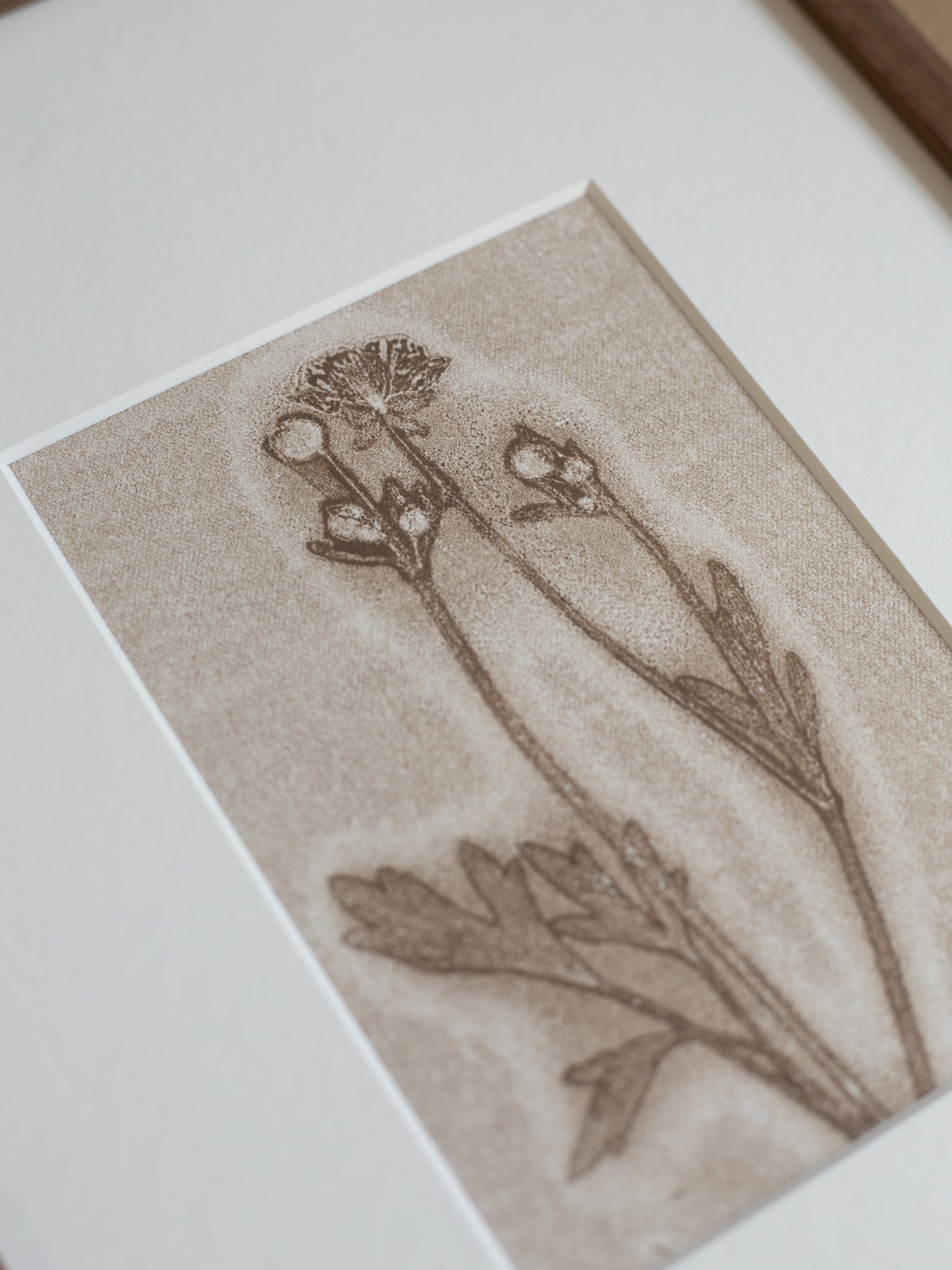 Framed botanical illustration of flowers on a textured paper background