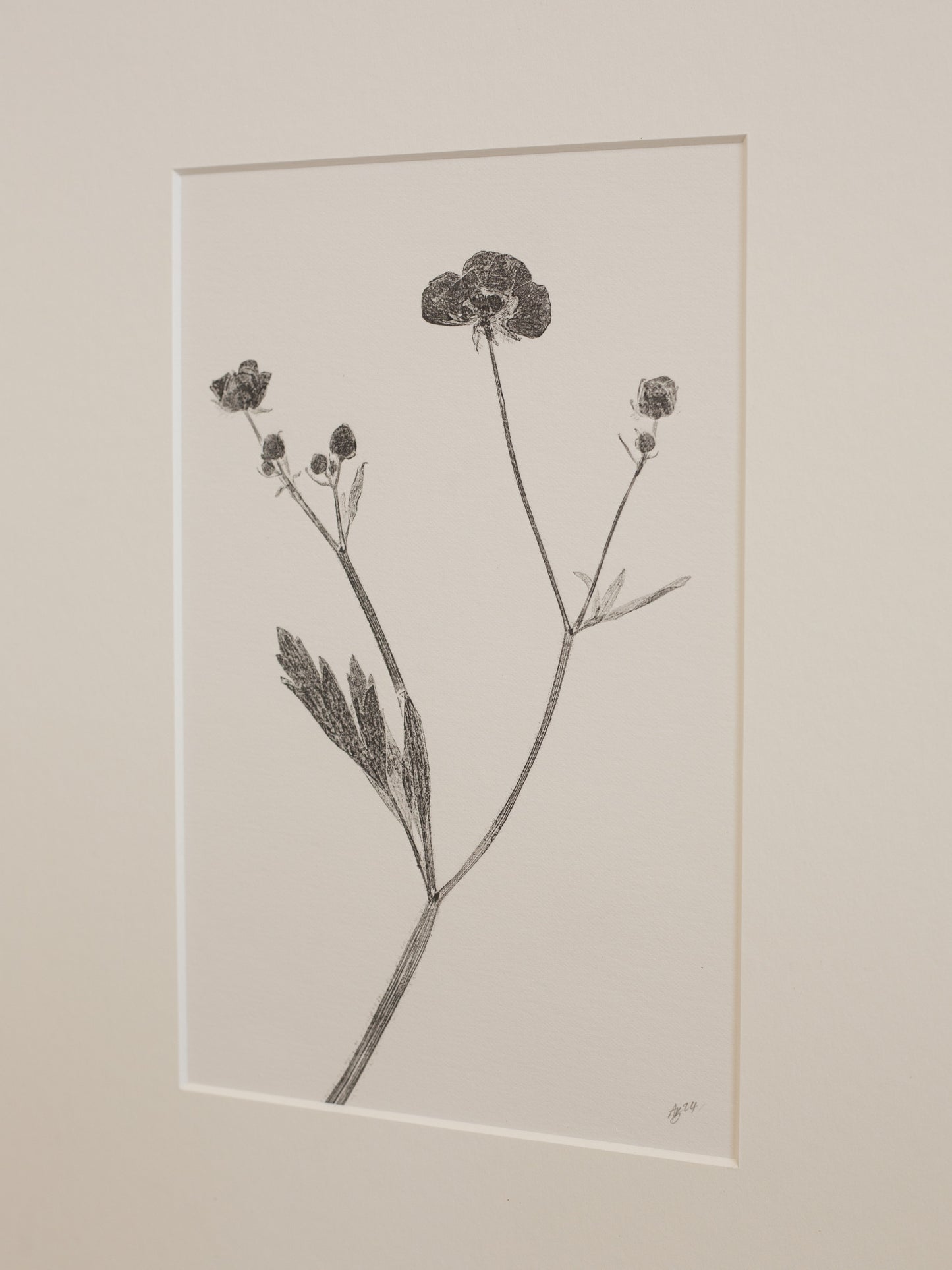 Botanical Print of a plant with flowers in a frame on a beige wall.