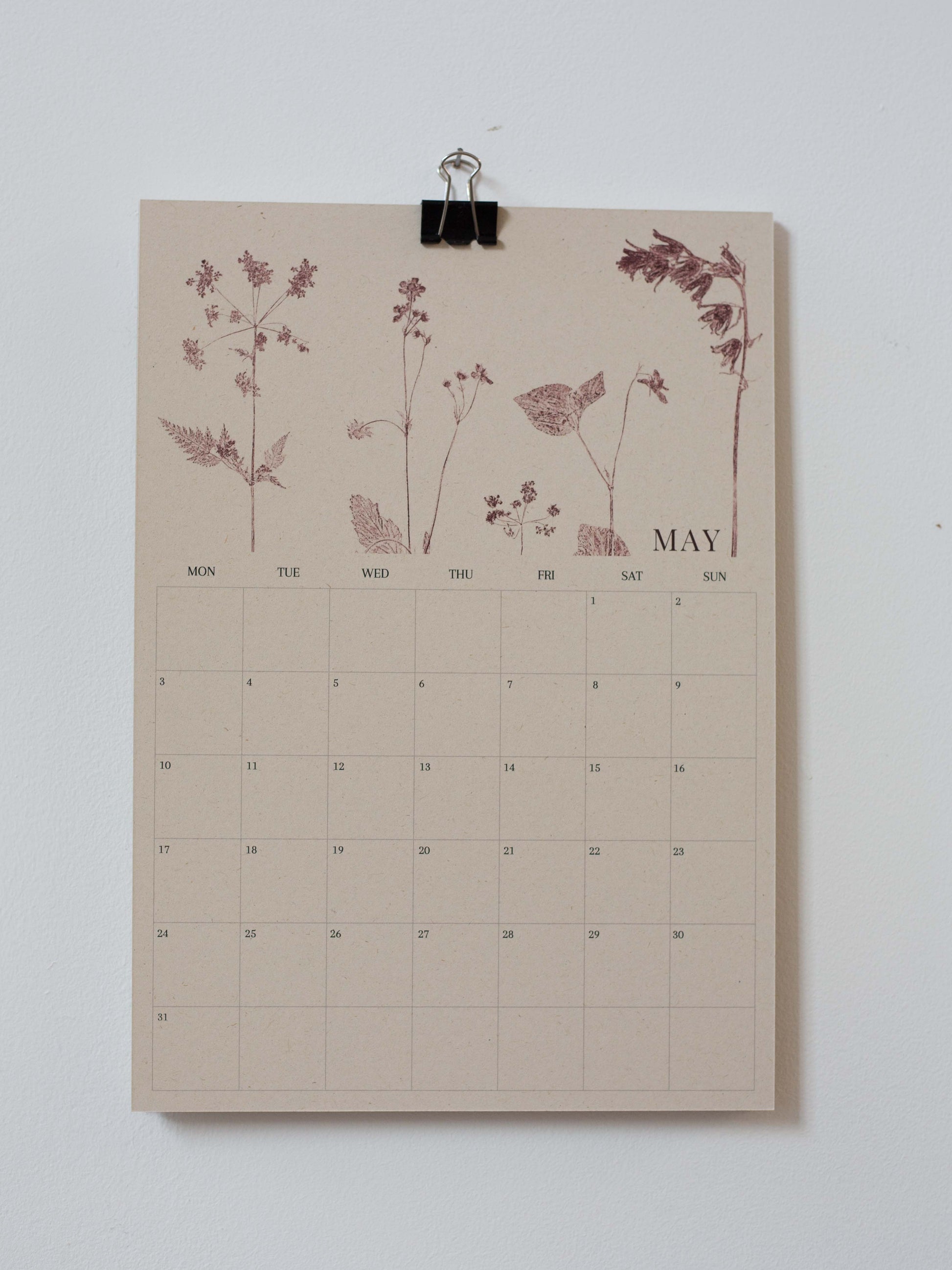 A minimalist May calendar page with botanical illustrations in dusty rose, clipped at the top with a black binder clip against a plain white wall.