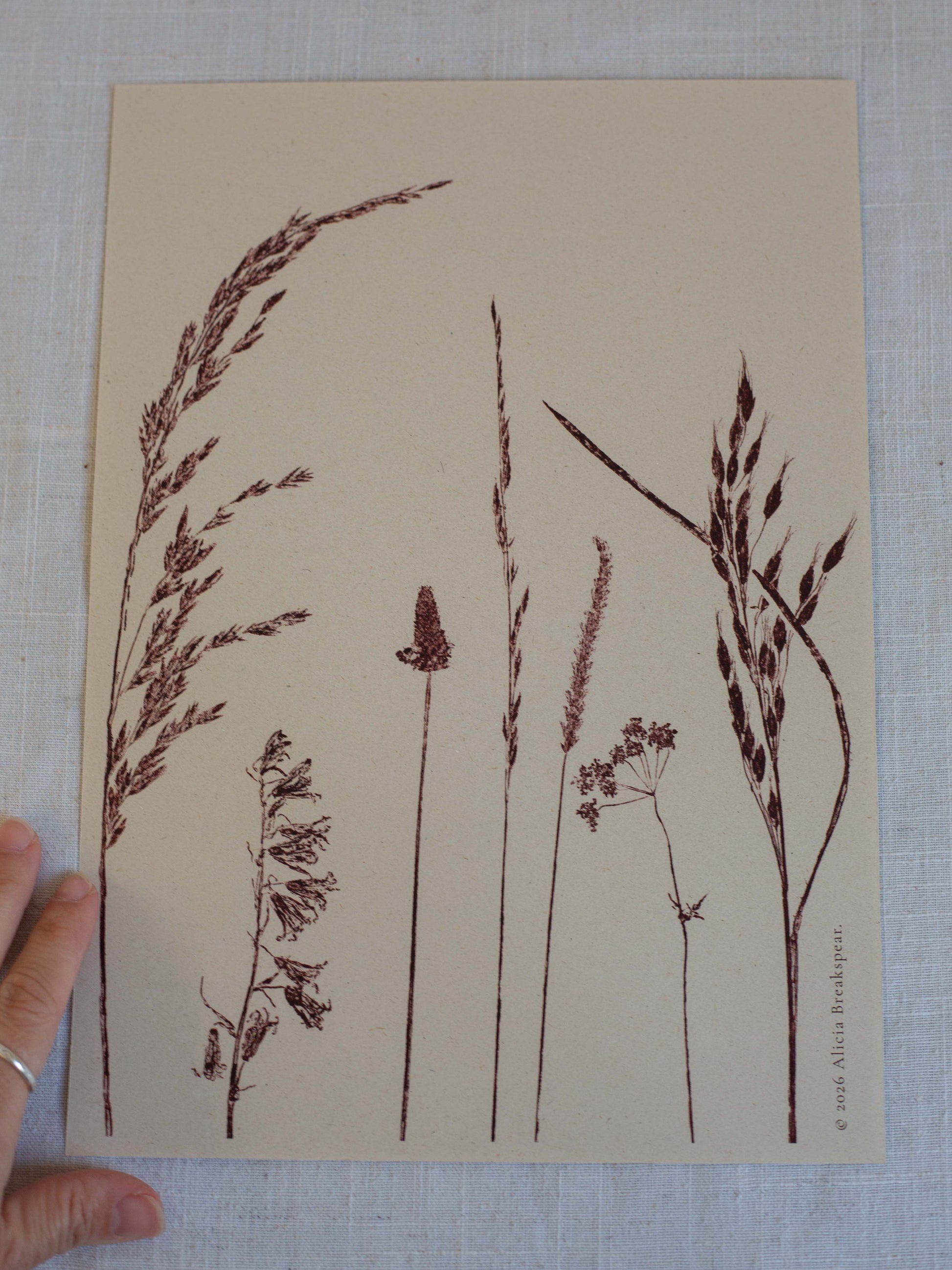 A hand holds a  art print featuring botanical illustrations of various grass and wildflower seed heads in dark brown ink on a warm beige paper background, set against a light grey textured fabric backdrop.