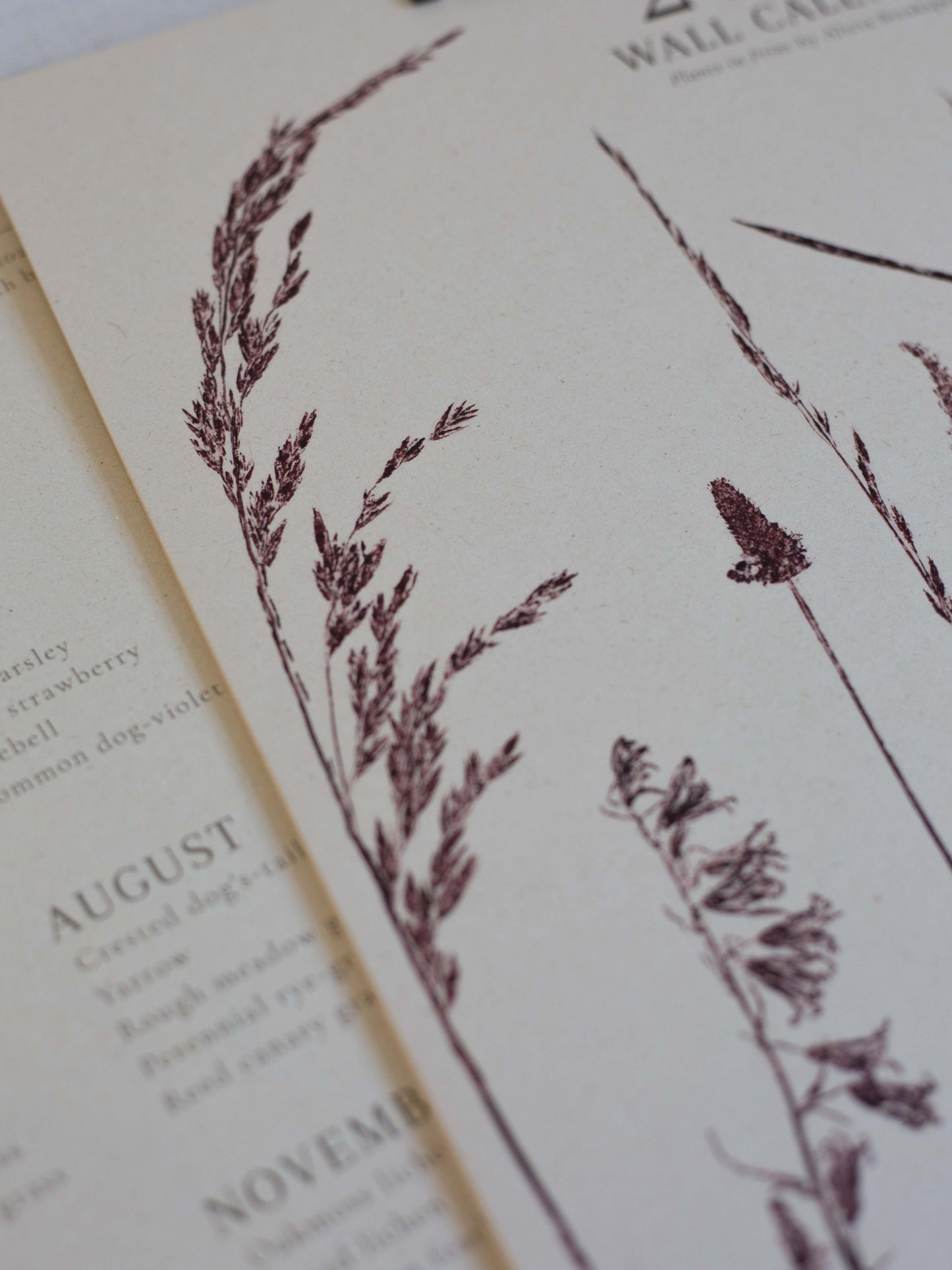 A close up of the printed plants on the 2027 botanical wall calendar