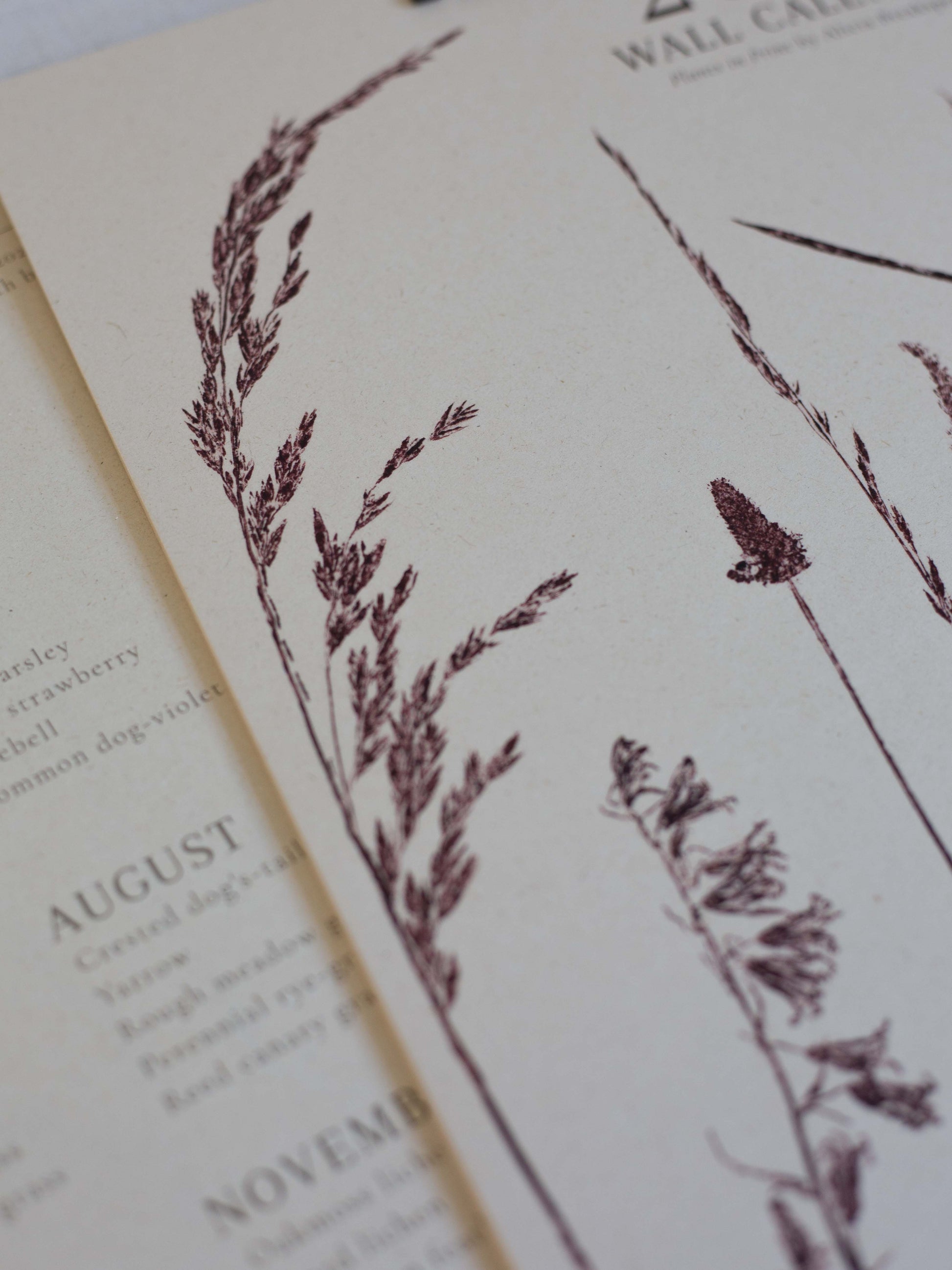 A close up of the printed plants on the 2027 botanical wall calendar