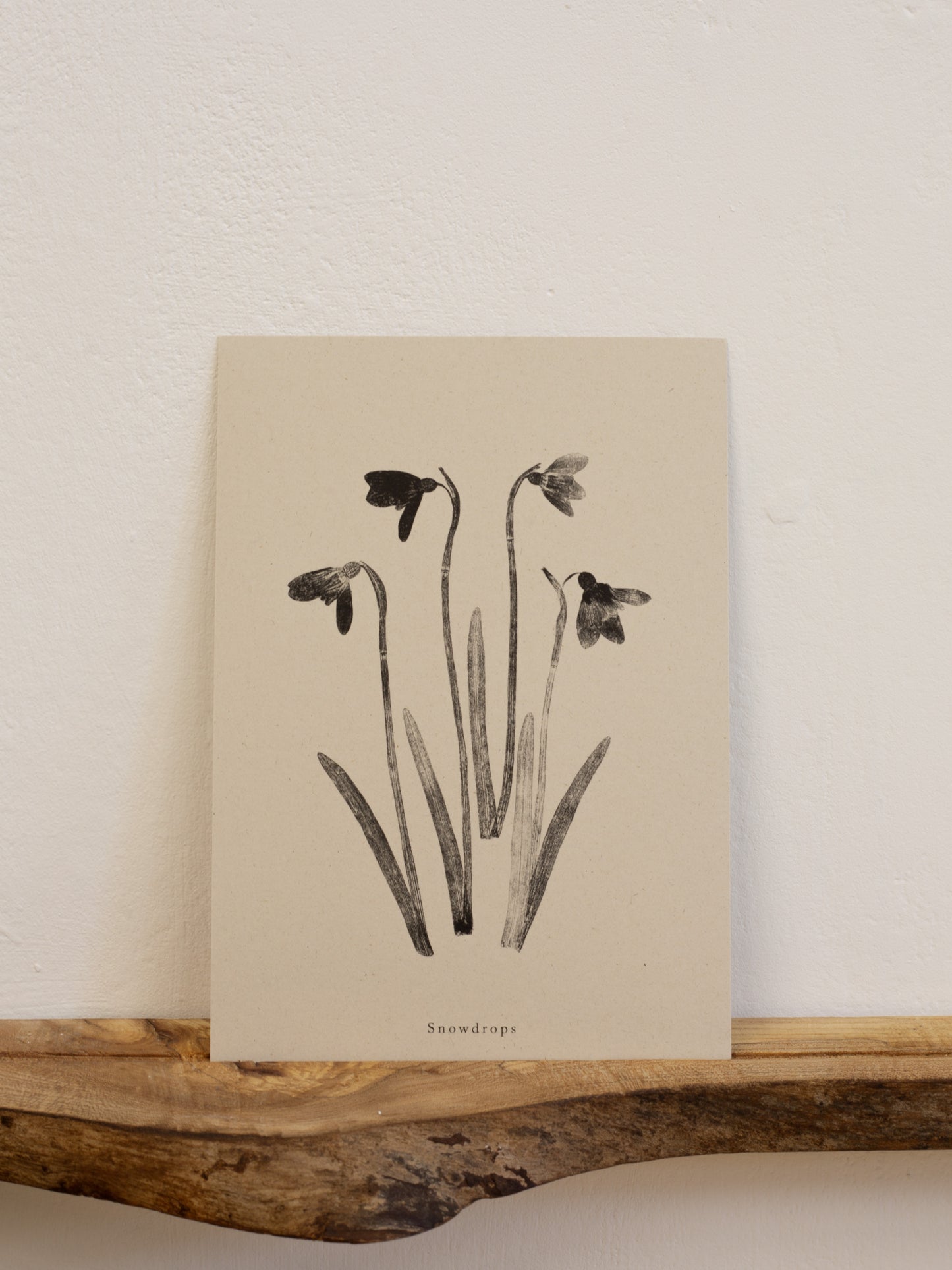 Snowdrops - Botanical Art Print