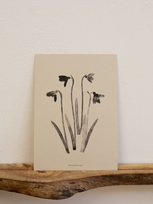 Snowdrops - Botanical Art Print
