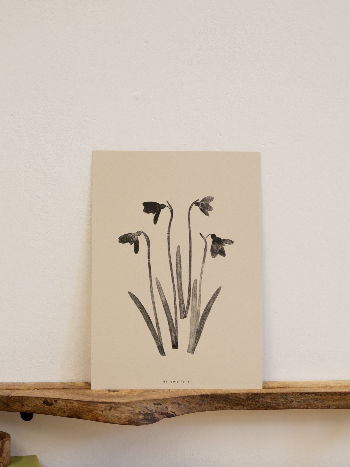 Snowdrops - Botanical Art Print