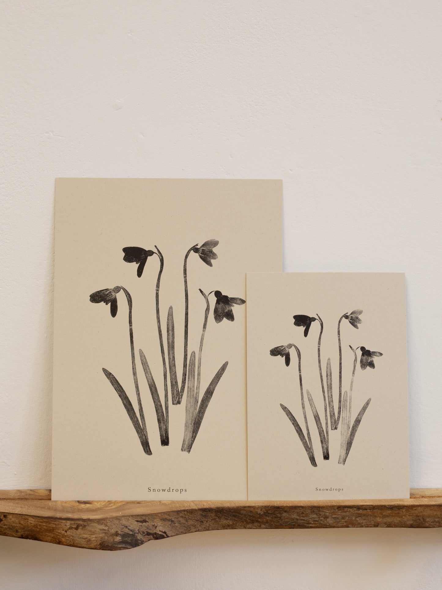 Snowdrops - Botanical Art Print