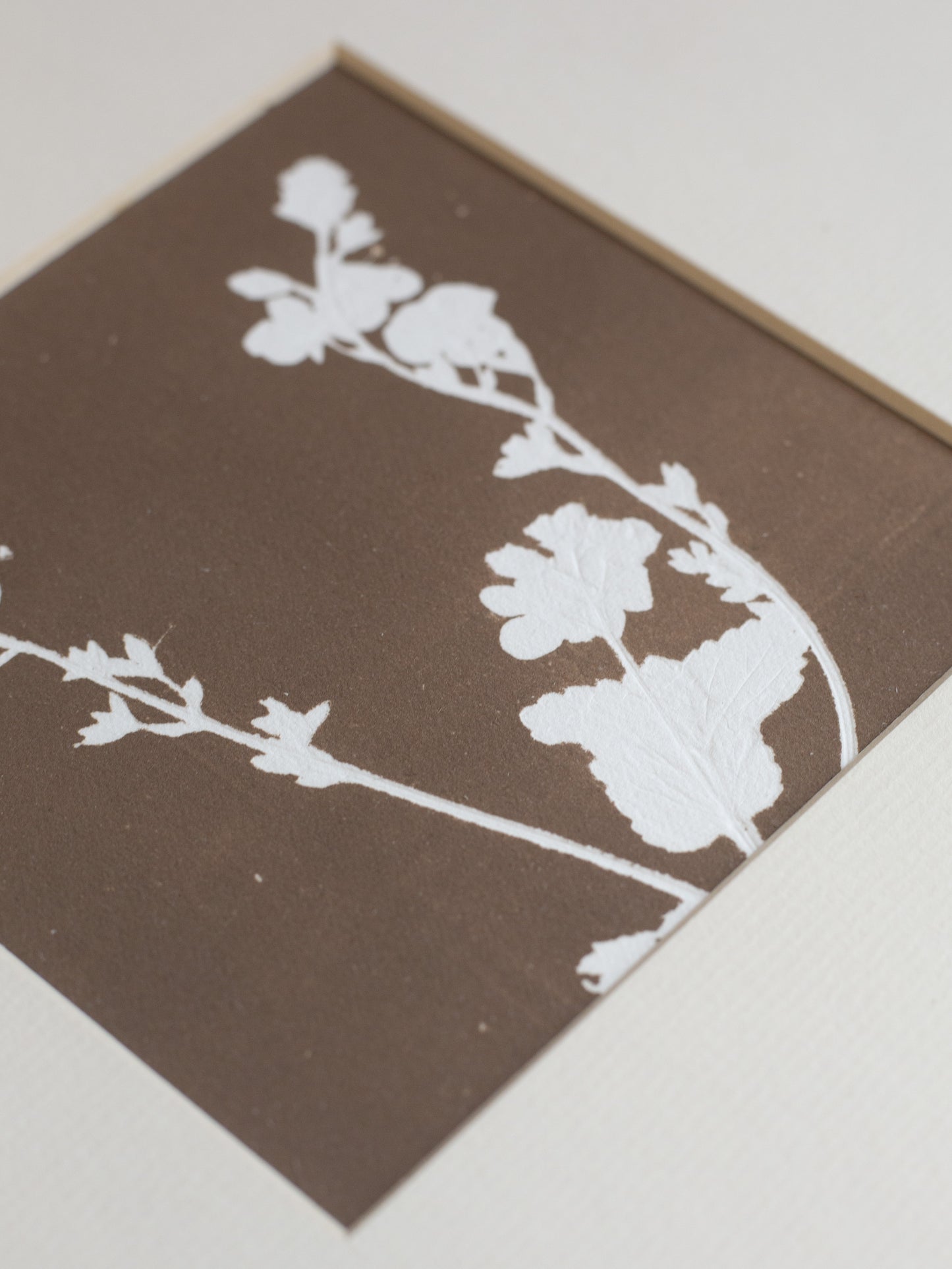 Silhouette floral on a brown background