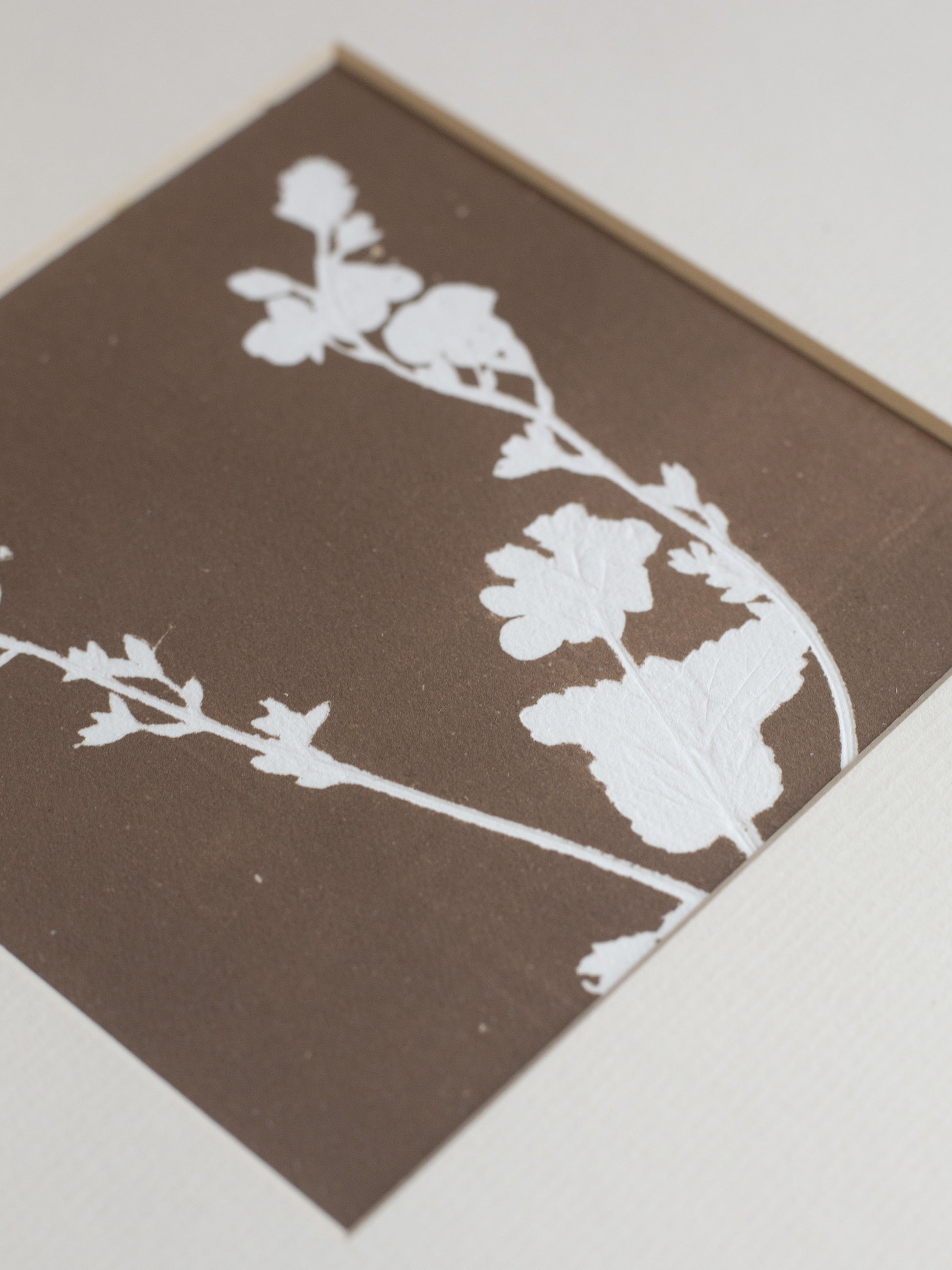 Silhouette floral on a brown background