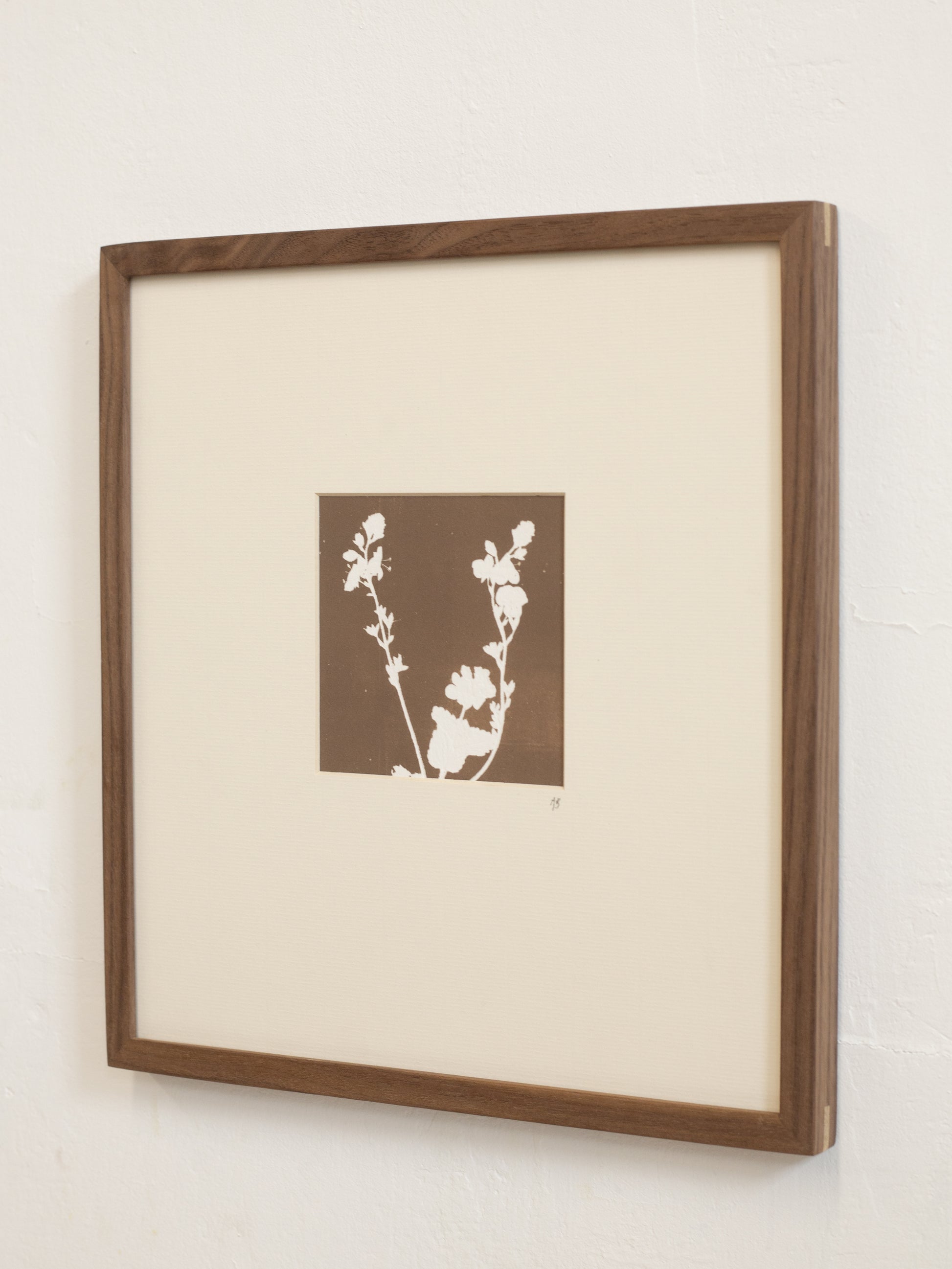 Framed artwork with a brown background and white floral design on a beige wall.