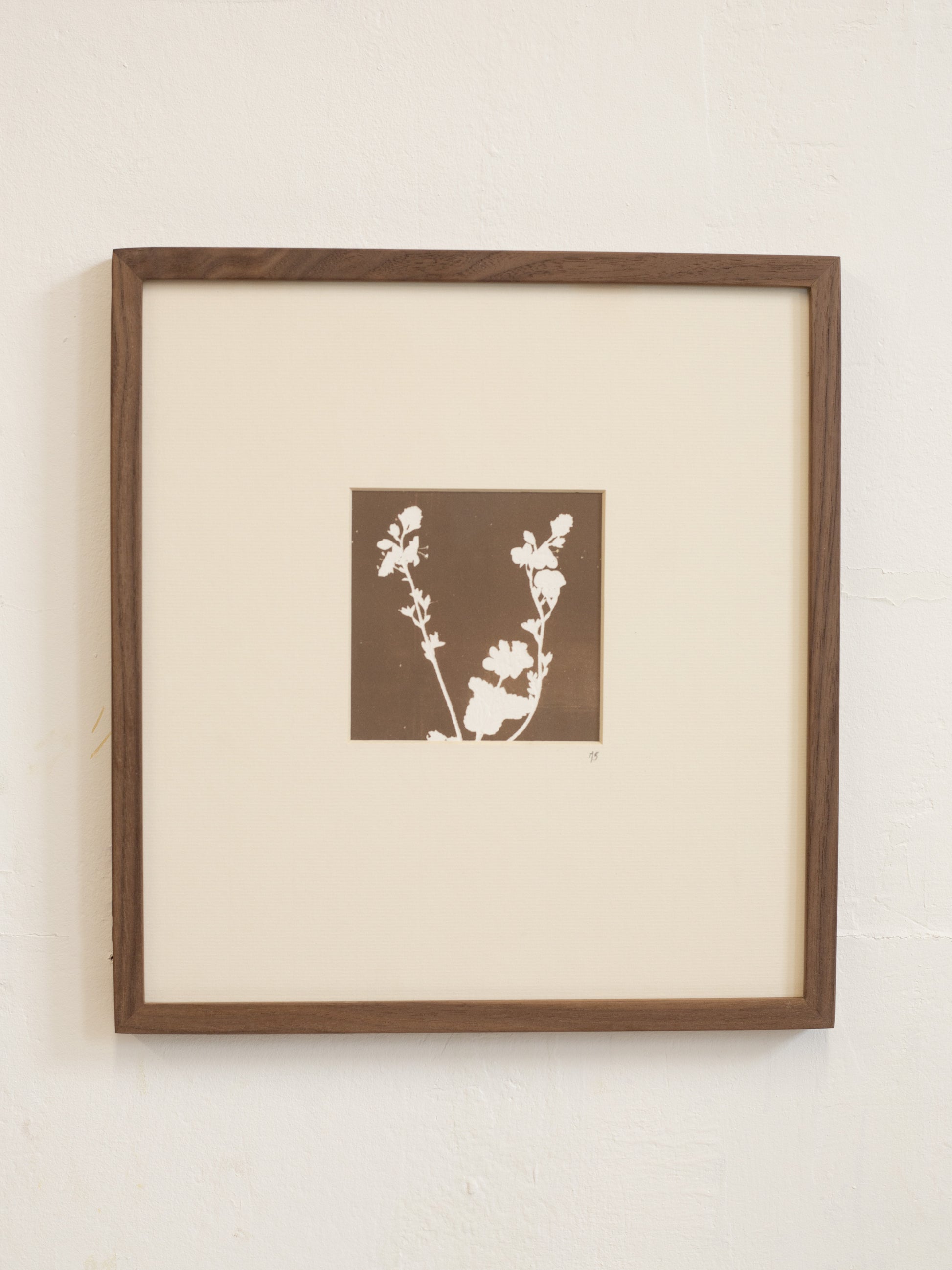 Framed artwork with floral design on a beige background