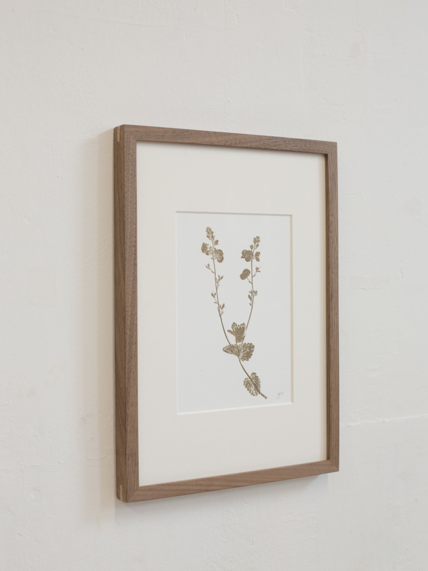 Framed botanical print on a light gray wall