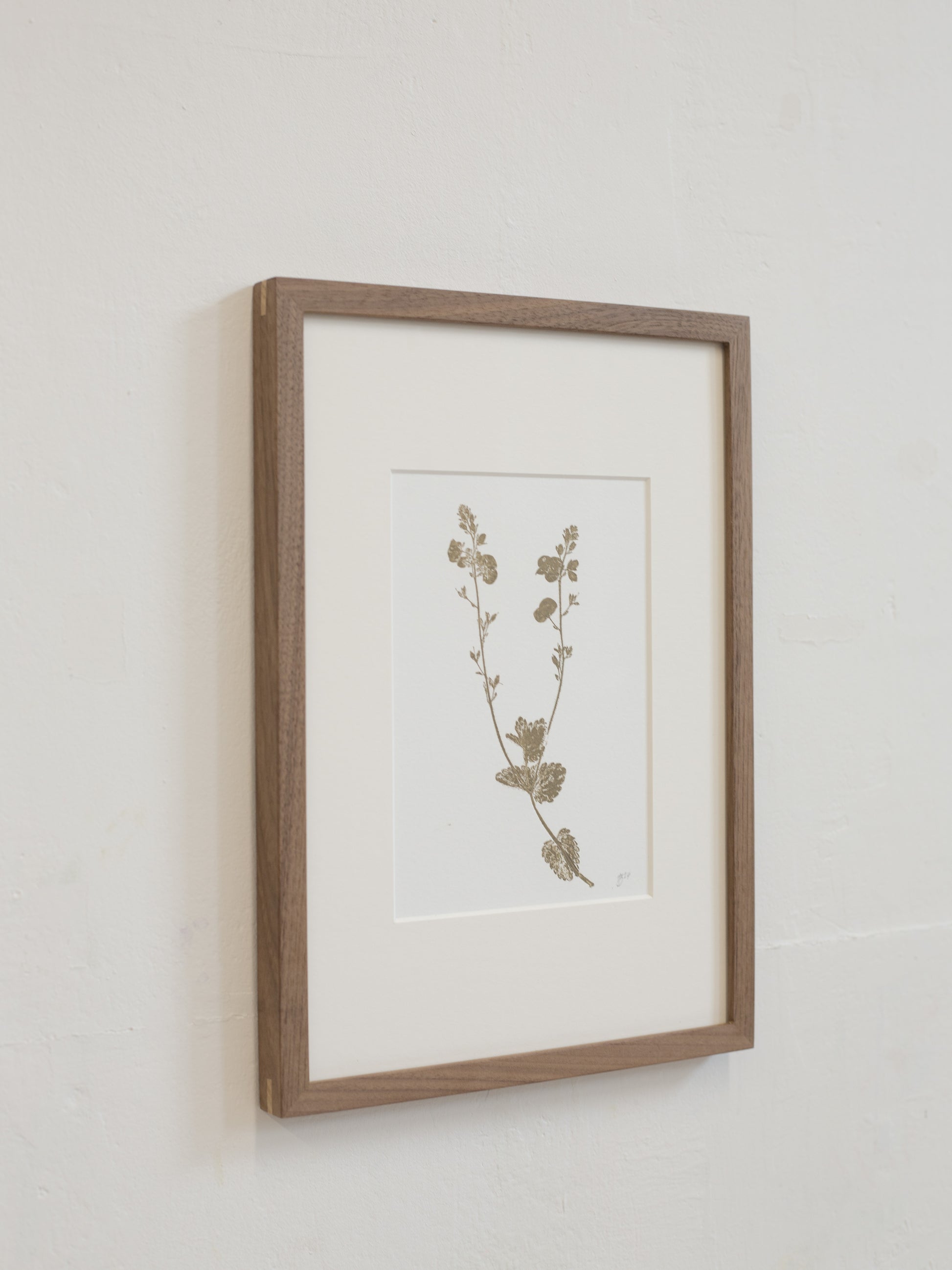 Framed botanical print on a light gray wall