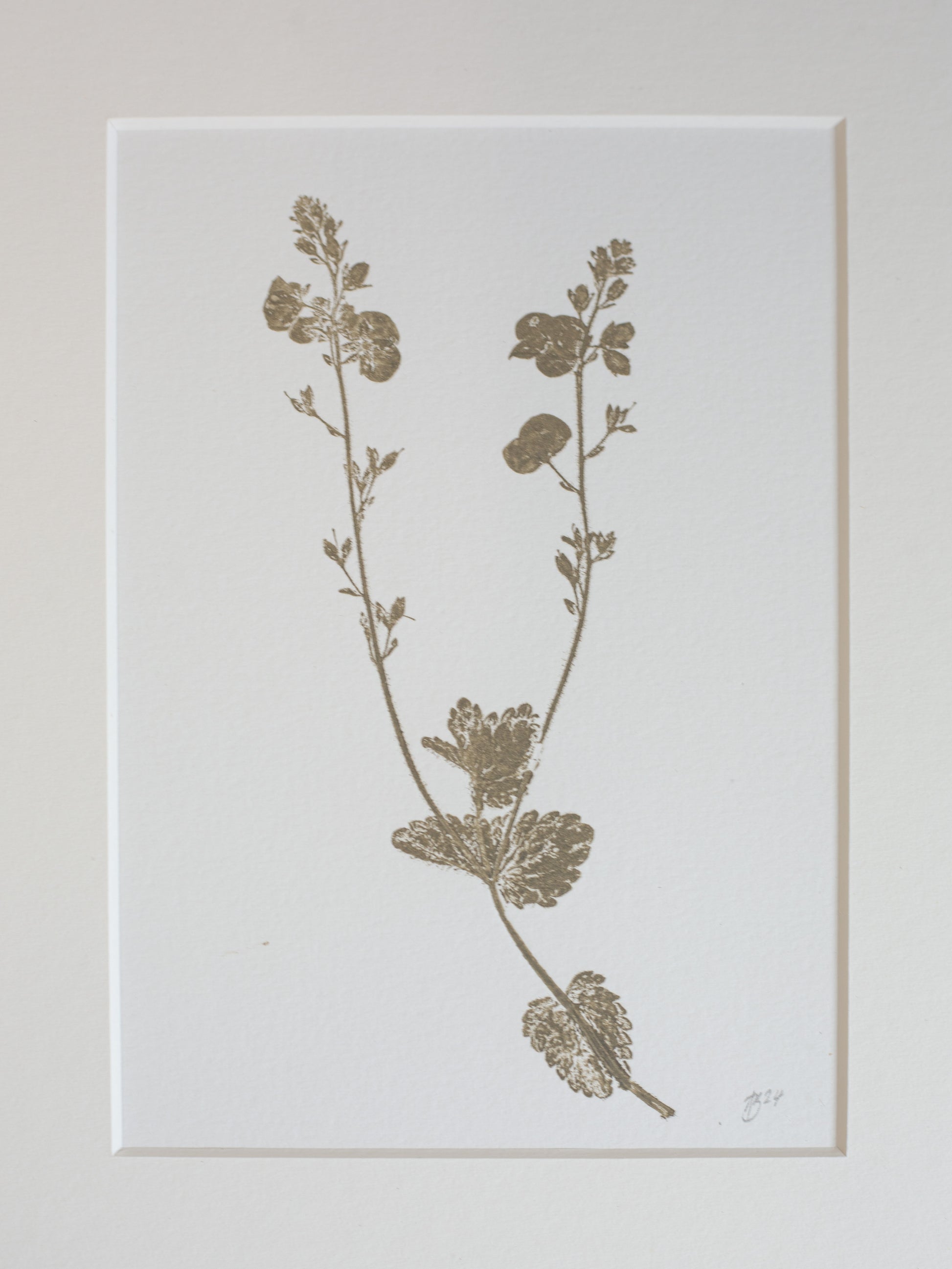 botanical print close up