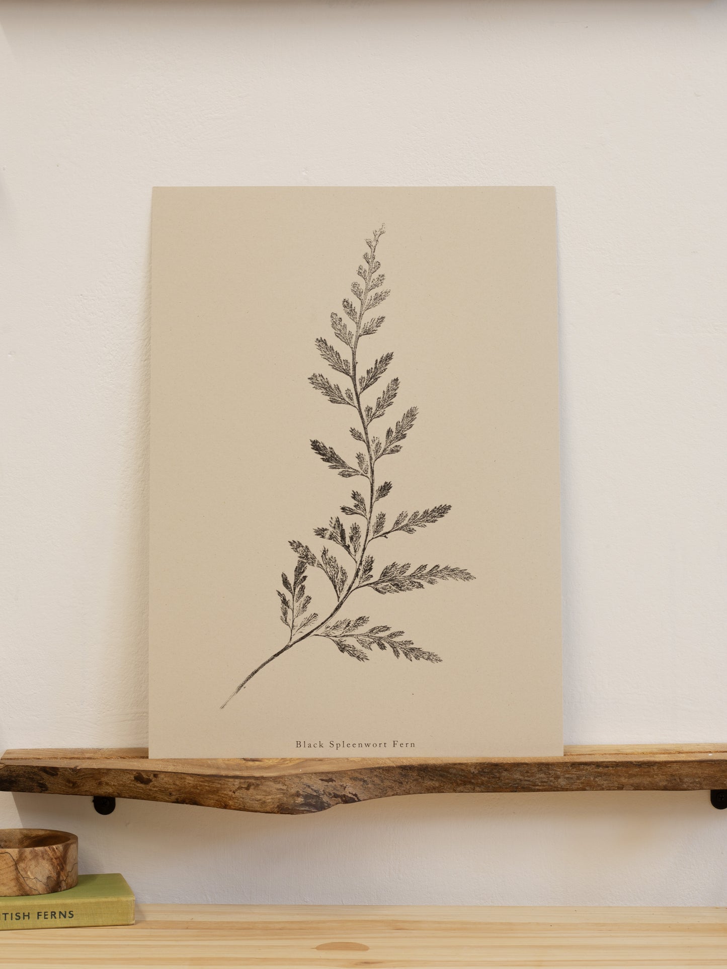 Fern Print- Botanical Art Print