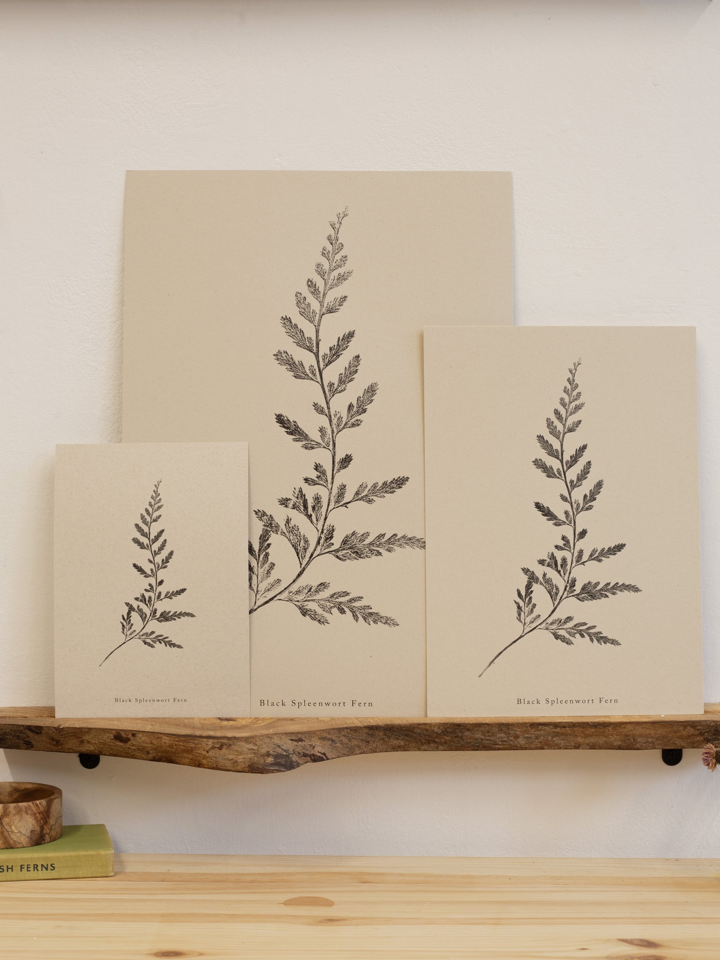 Fern Print- Botanical Art Print