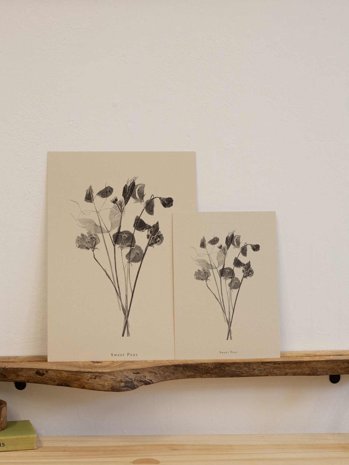 Sweet Peas - Botanical Art Print