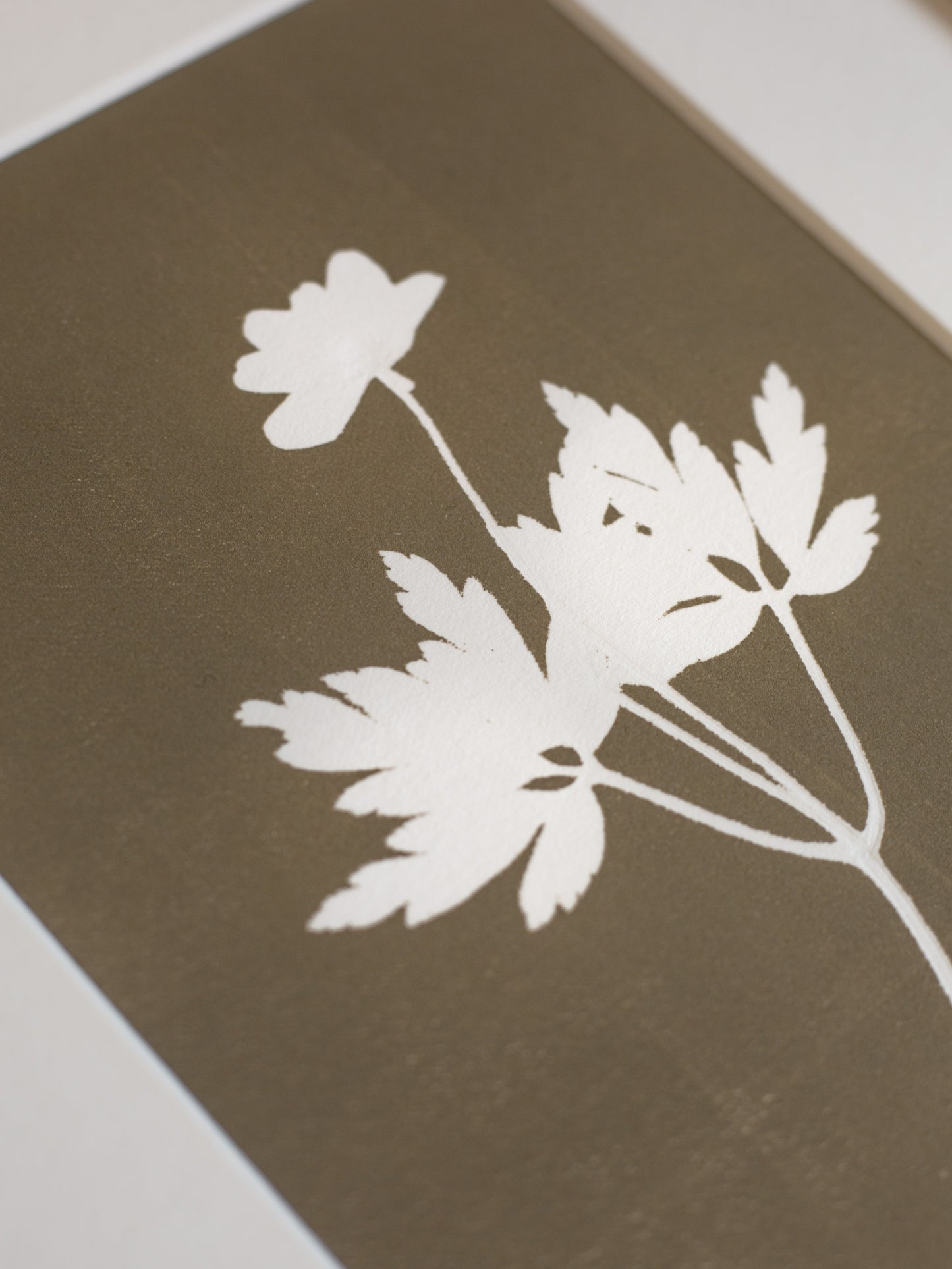 Wood Anemone 1 Flower Original Botanical Print Framed