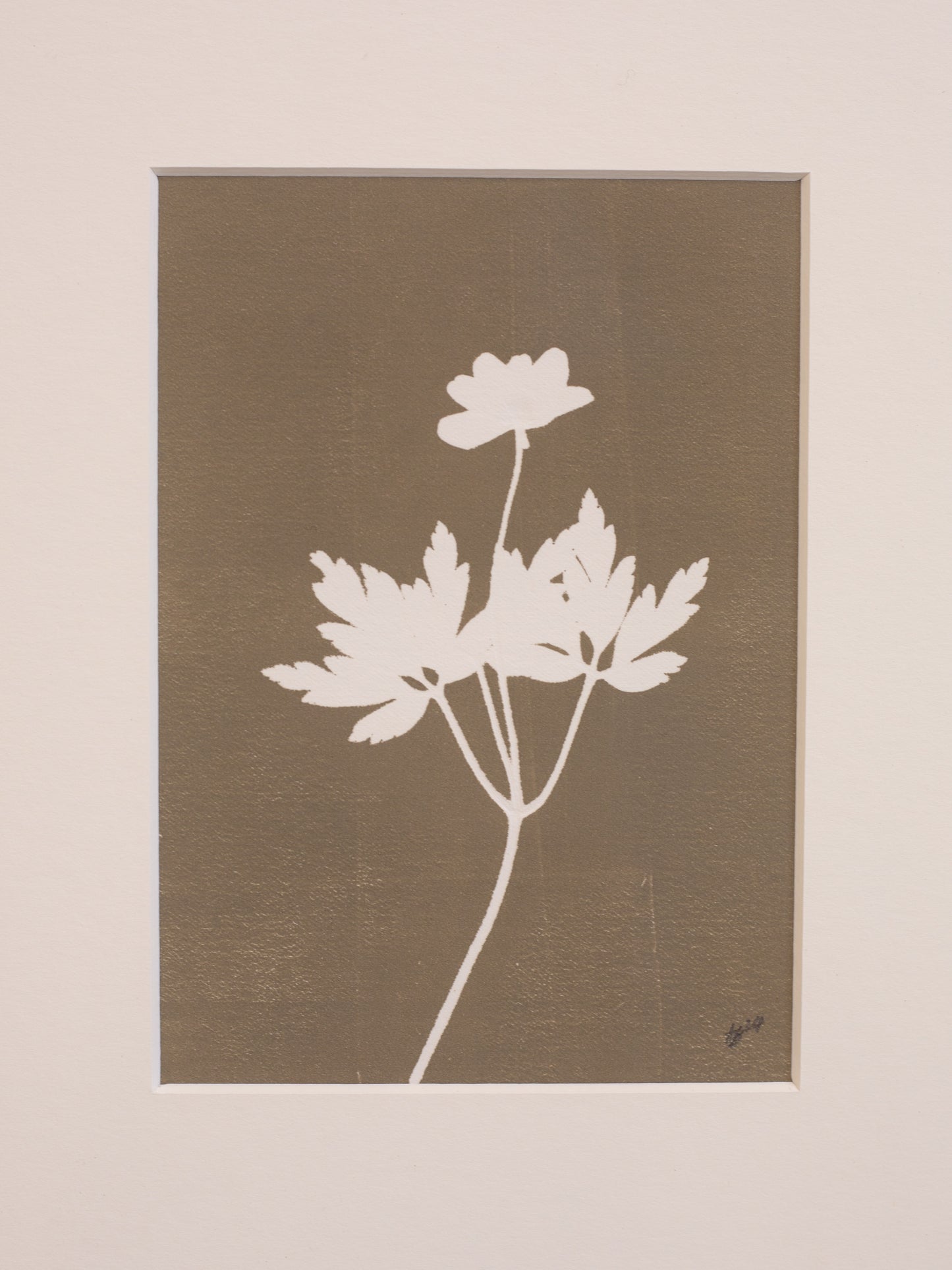 Wood Anemone 1 Flower Original Botanical Print Framed