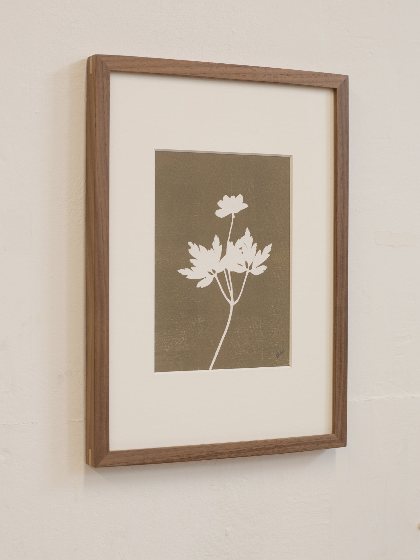 Wood Anemone 1 Flower Original Botanical Print Framed