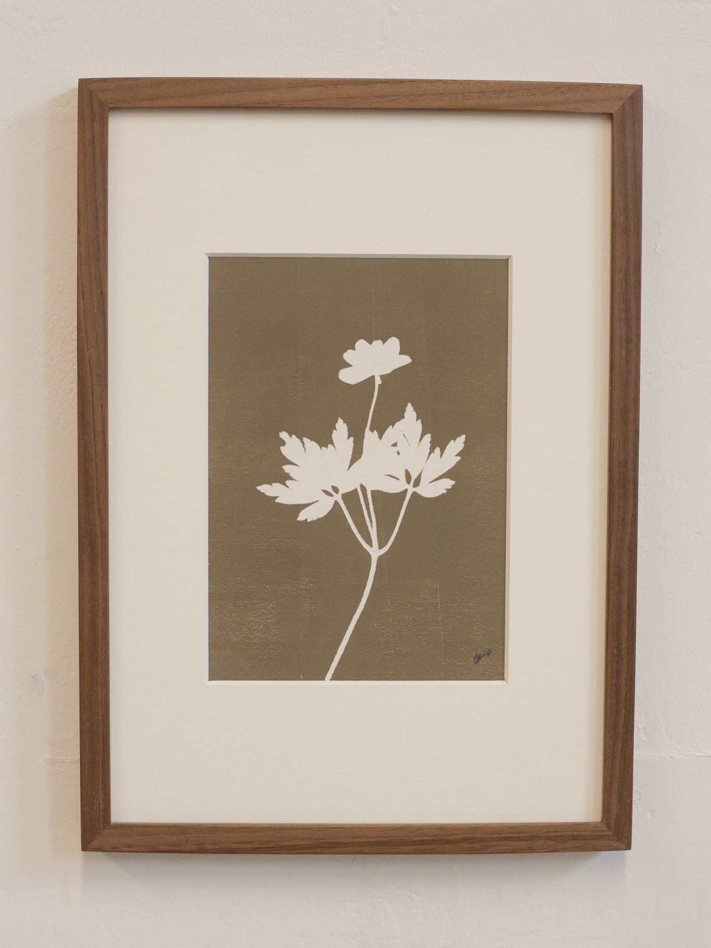 Wood Anemone 1 Flower Original Botanical Print Framed