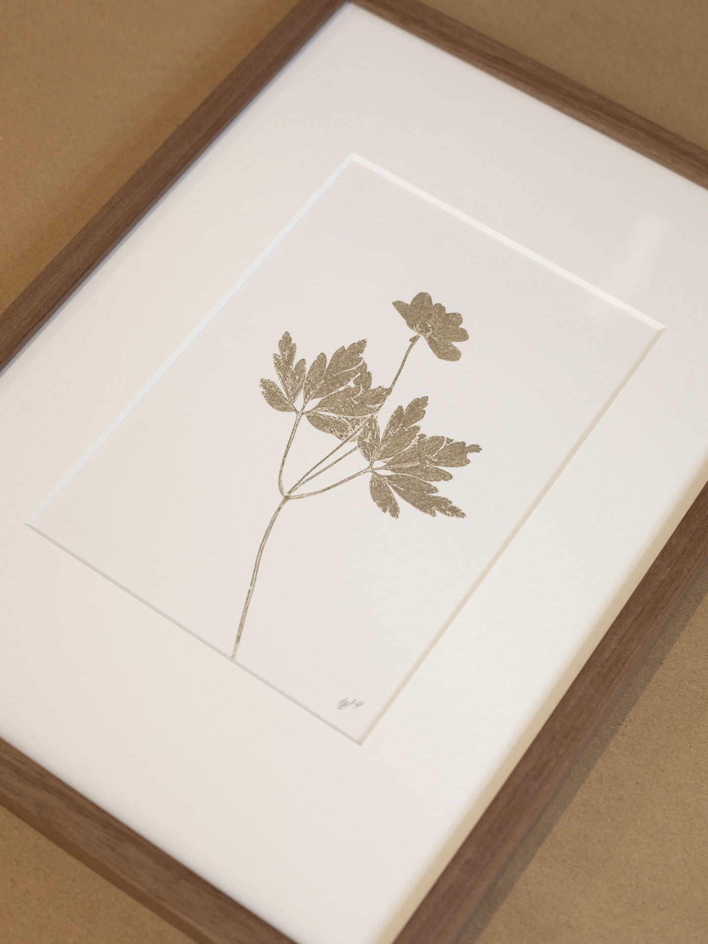 Framed botanical print with walnut wood