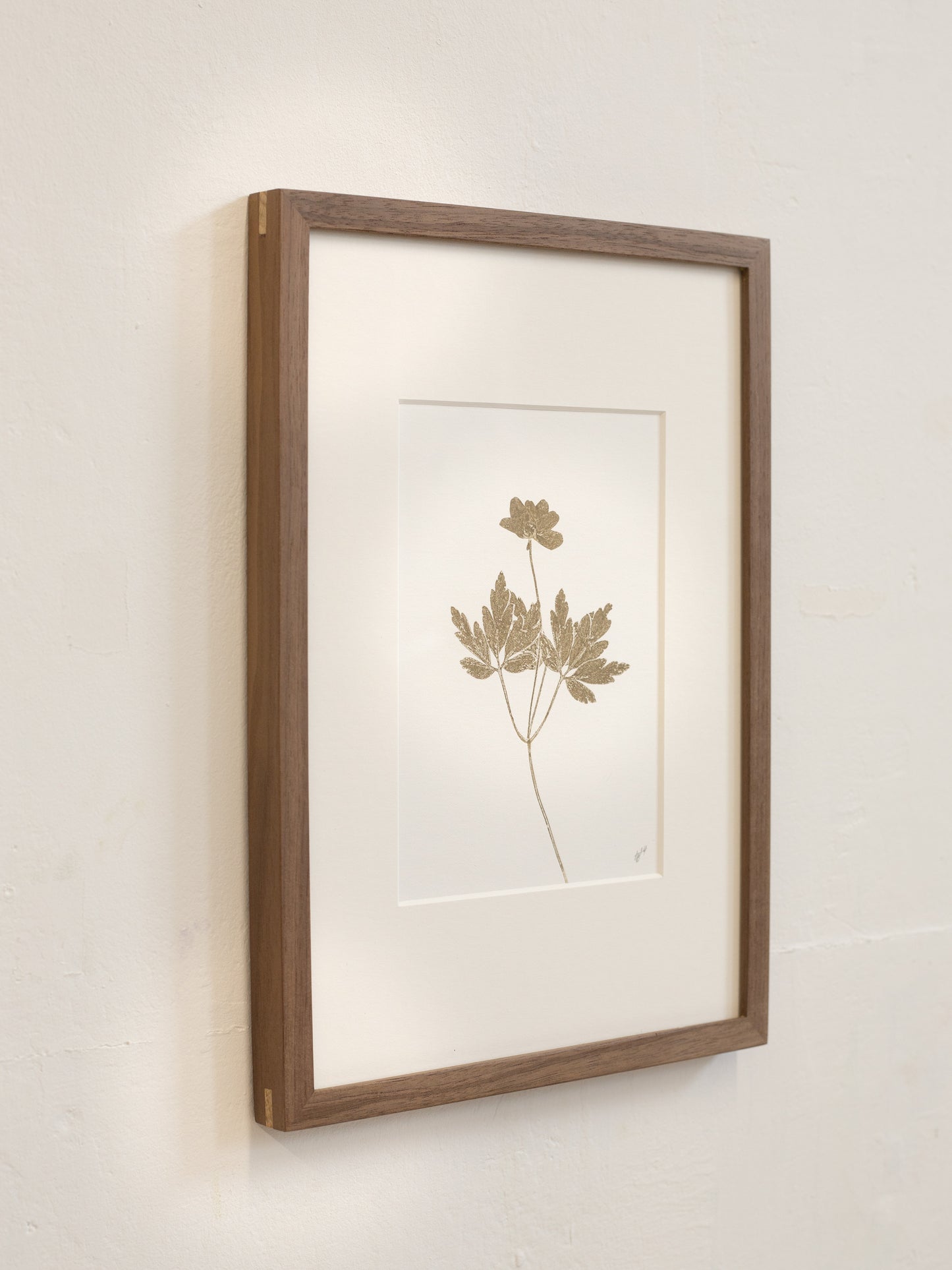 Framed botanical print on a white wall