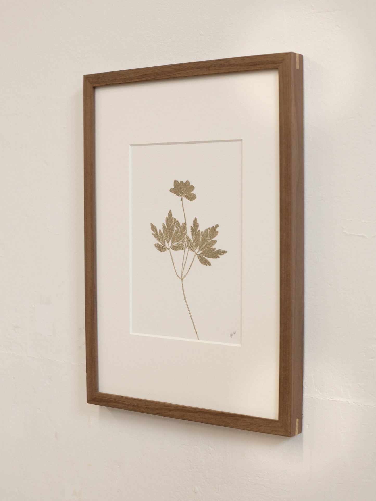 Framed botanical print with a brown frame on a beige wall