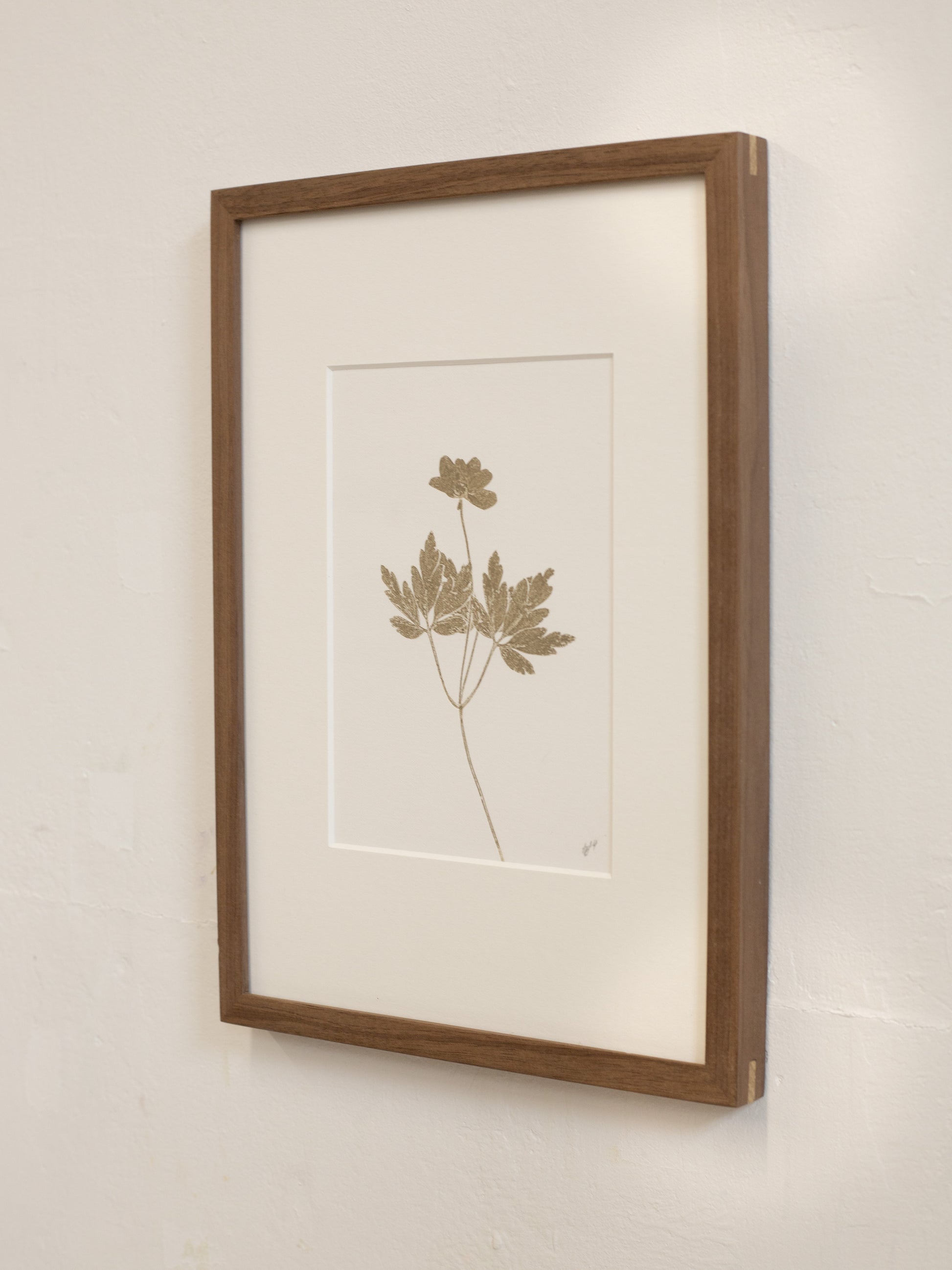 Framed botanical print with a brown frame on a beige wall