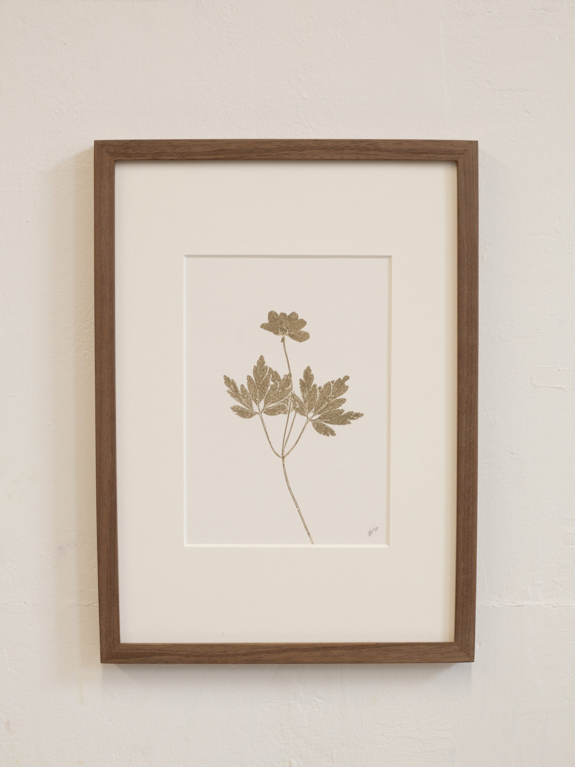 Framed botanical print 