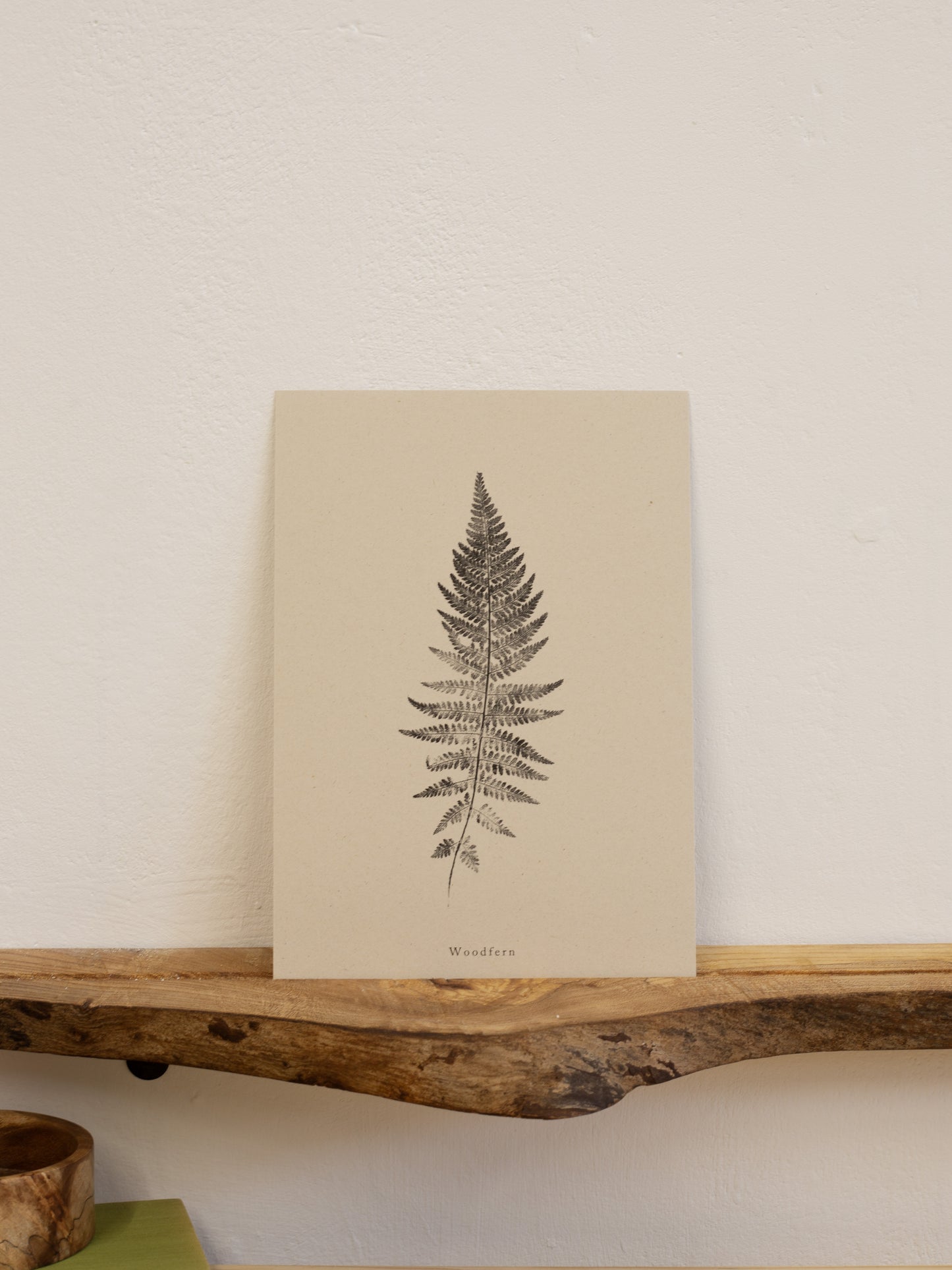 Woodfern - Botanical Art Print